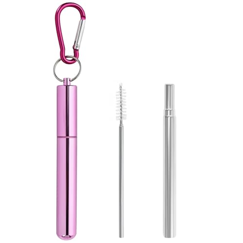 Collapsible Metal Travel Drinking Straws with Case