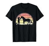 Horse Equestrian Pony Riding Dressage Horse Riding