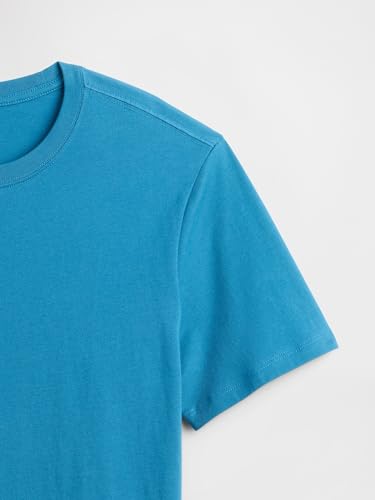 Image of Gap Mens Everyday Soft Crewneck T-Shirt Tee