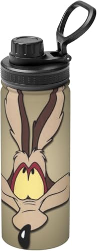 C[ER[eƃ[hEi[  ^fM ۉ ۗ X|[c{g XeX{g X|[cΉ RȂ 530ml lC v[g