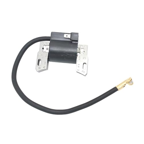 Bobine d'allumage pour résoudre les problèmes de démarrage à chaud - 4