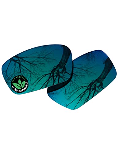Verres de rechange polycarbonate Spy Optic Dirk solaire Raydi