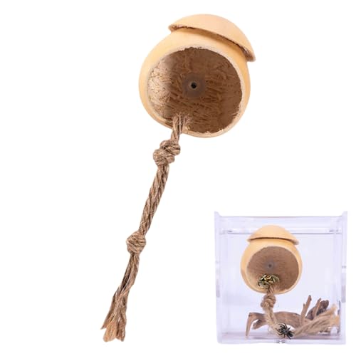Enclos pour Araignées Sauteuses - Habitat Naturel en Bois pour Phidippus - Accessoires Décoratifs en Forme de Calebasse pour Reptiles Animaux Domestiques...