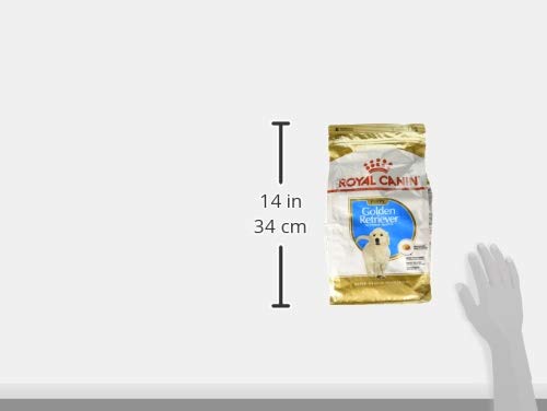 Royal Canin Golden Retriever Puppy Food, 1 Kg, Dry Food, Supports Immune System & Digestive Health, Promotes Healthy Skin & Coat