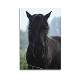 OKNGB Poster "Reitweide", geheimnisvoller schwarzer Hengst, dekoratives Gemälde, Leinwand, Wandposter und Kunstdruck, moderne Familienschlafzimmer-Dekoration, Poster, 60 x 90 cm