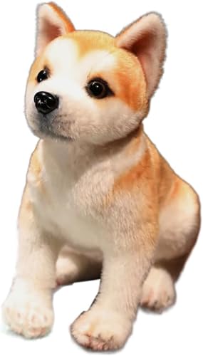 GXBJGXZTʂ _VA   ܂  ӂӂ NbV ʔ _炩 C 􂦂 ObY NX}X v[g X 蕨 a Mtg j  32cm (32cm,AL^Ck0