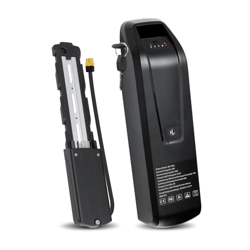 Pmrixan 48V 15Ah Ebike Battery with 2A Charger & 40A BMS