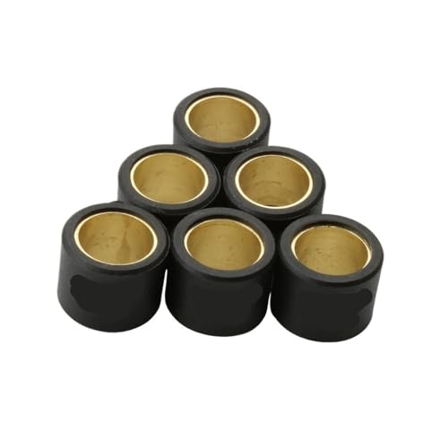 Poids de variateur 20 x 17 mm 9,5 g pour scooter 125 cm³