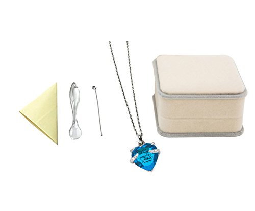 PREKIAR Colar de urna de cremação de coração para cinzas, pingente de joia memorial com kit de enchi