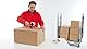 tesa Paketband-Abroller und tesapack Paketbänder im Set - Transparent - 66m x 50mm & Easy Cut SMART Klebebandabroller für Tische/Kompakter Tischabroller mit Anti-Rutsch-Technologie für Klebefilm