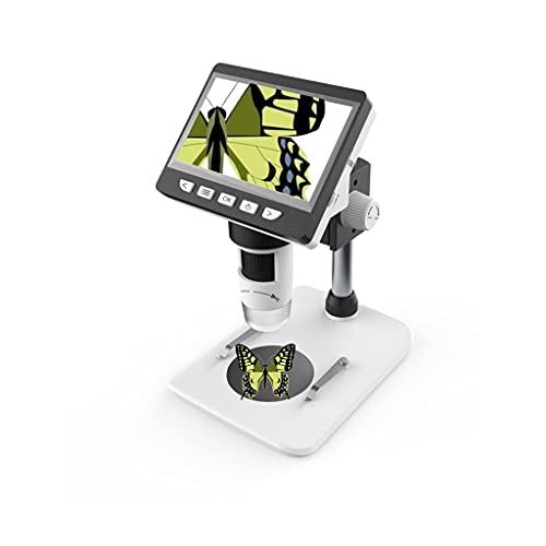 Microscope de bureau LCD numérique pour étudier la nature en famille et explorer la biologie chez soi