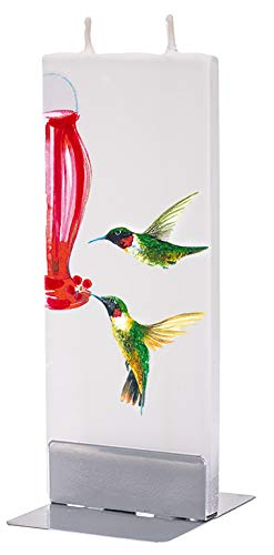 Bougie cadeau Flatyz Colibri mangeoire idée originale pour anniversaire