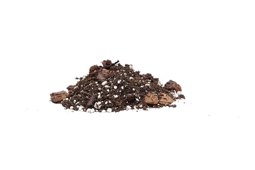 Fiddle Leaf Fig House Plant Soil Premium All Purpose Blend - Premium Compost, Bark, Coco Chips and Fibers, Perlite - 5 Liters Bag - Image 2