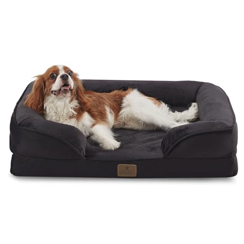 Bedfolks Orthopedic Dog Bed, Waterproof Dog Sofa Bed for Medium Dogs, Egg Foam Pet Couch Bed with Removable Washable Cover and Nonslip Bottom, Black