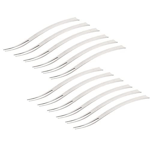 CANDeal 12PCS Fourchettes en Acier Inoxydable, 5 Pouces Fourchettes à Escargots 2 Broches Dégustation Apéritif Fourchettes Portable Cocktail Salade Fruits Fourchettes pour Fête Voyage