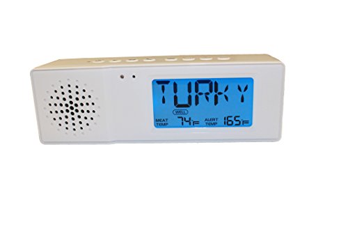 Maverick St100W Bluetooth Speaker Thermometer #TOP4