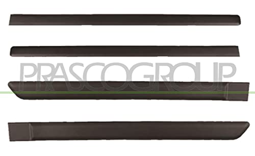 PRASCO FT1221400 Zierleiste für die Tür hinten links vorne links hinten rechts vorne rechts Satz