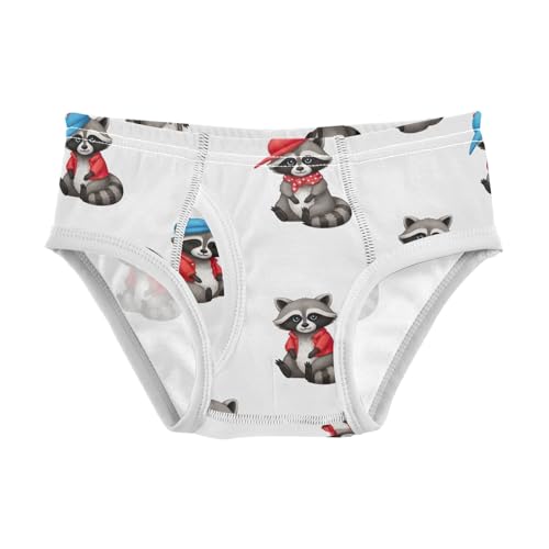 CHIFIGNO Underwear for Boys Cute Raccoons White Cotton Boys Briefs Soft Breathable Brief Underwear