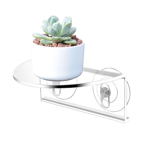Decoración transparente multicapa para plantas en la ventana de casa 8