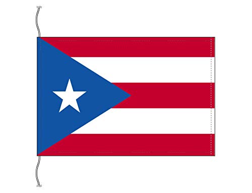 Amazon.co.jp: TOSPA プエルトリコ国旗 卓上旗16×24cm 高級テトロン