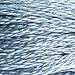 DMC 117-932 6 Strand Embroidery Cotton Floss, Light Antique Blue, 8.7-Yard