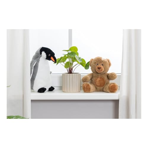 TRIXIE Teddy Eddy - Kuscheliger Teddybär aus 100% Recycling-Plüsch, 23 cm - Hundespielzeug für Klein & Groß - weich & nachhaltig - Made from Recycled Materials - waschbar & pflegeleicht - 34882