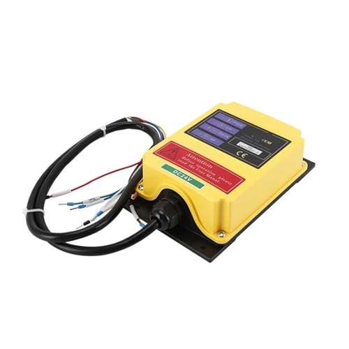 Télécommande industrielle F21-2S pour remplacer les câbles de treuil 24V