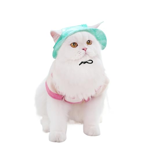 ėppXq t ^ ^ Lp ^C_C Ă~ 싅X AEghA ߉\ ybgp(Green,S (for pet 1-3.5kg))
