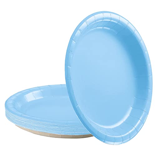16 Stück Hellblau Pappteller,23CM Rund Teller Einwegteller Hellblau Einmalteller Einweg Geschirr,9inch Partyteller Einmalgeschirr Tisch Dekorationen Partygeschirr für Hochzeit Garten Geburtstag Party