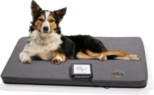 Assisi LOOP Lounge tPEMF System for Dogs and Cats (Medium)