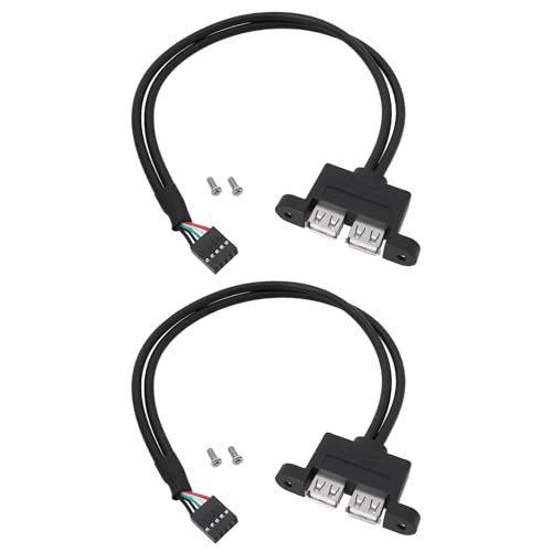 Be In Your Mind 2 STÜCKE 9-Pin auf Dual USB 2.0 Ports Zusätzliches Kabel 0,3 M Kompatibel mit ASRock DeskMini Motherboard