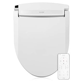 Fabulous New Finds! January 27th 2025 (Row 19)