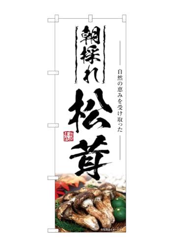 ̂ڂ艮H[(Noboriyakobo) SNB-7427  ̂ W600×H1800mm 1  OO |W  ɐ 󒍐Yi