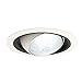 Juno 249B-WH, Shallow 6 inch Round IC Rated Recessed Trim, 75 Total Watts Halogen