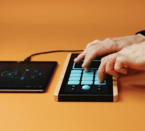 Joué Play | 4-In-1 Portable Digital Instrument, With Powerful And Easy-To-Use Musical App Included - Plug & Play Music #TOP5