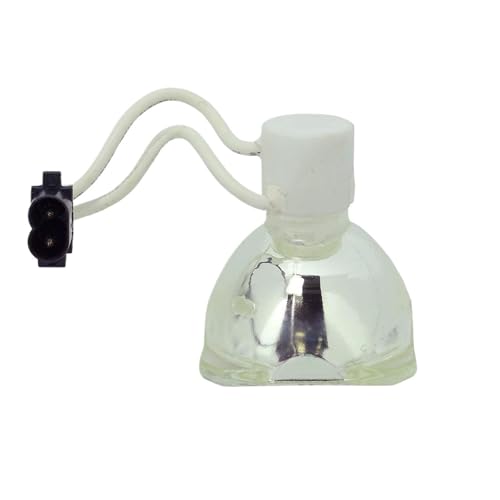 Ampoule nue Sp 5811100235 pour lampe de projecteur Bl Fs200c et vos soirées cinéma Optoma