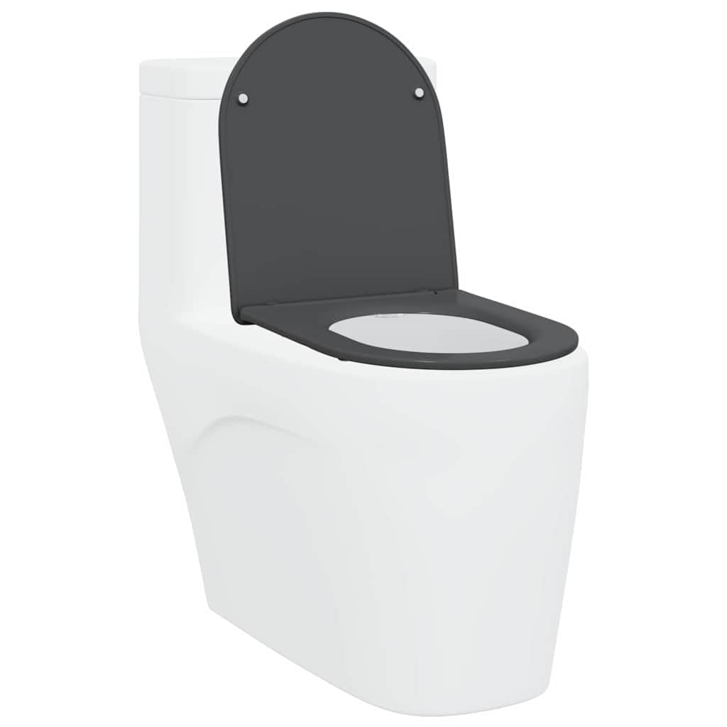 Asiento de inodoro antracita 47 x 36 x 3,4 cm de Duroplast para inodoro con descenso automático, bisagra y montaje para baño y apartamento