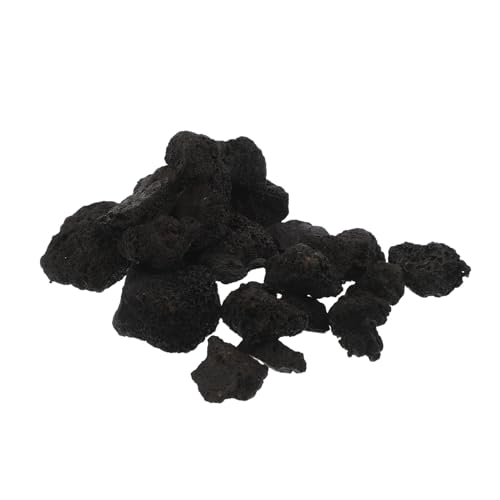 Kisangel gF   ΎR  }bT[W X`[  TEi g[  ΎR A X`[ TEi   q[^[ 