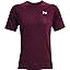 Dark Maroon (602)/White