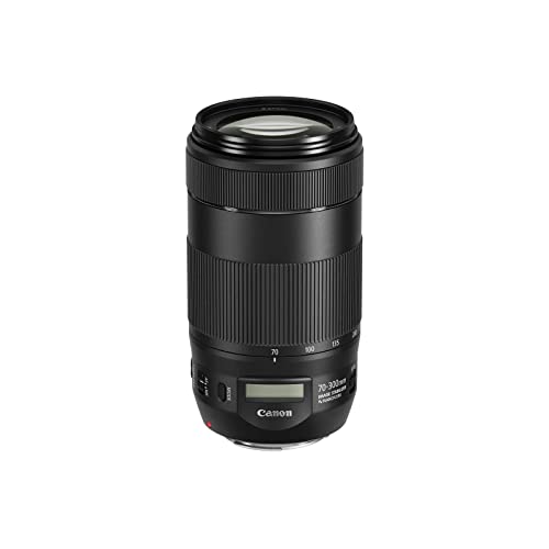 CANON CANON Objectif EF 50mm f/1.8 STM