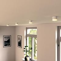 SSC-LUXon Aufputz Deckenleuchte VORA weiß matt Alexa, Siri & Google kompatibel - Aufbauspot mit Smart Home GX53 LED RGBW WLAN – Ansicht 2