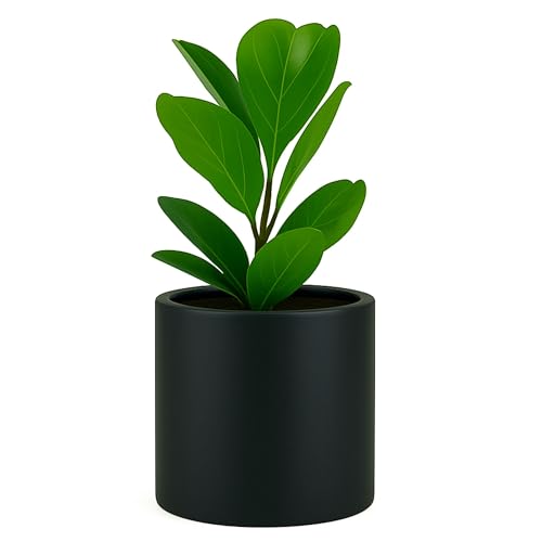 Fox & Fern 10 Inch Black Plant Pot with Drainage Plug — Premium Lightweight Fiberstone Matte Black Planter; 10 Inch Pots for Plants; for Indoor & Outdoor Use; Weather Resistant & UV Resistant