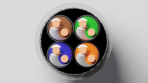 Link LK305F6AC - Cavo Solido Schermato S/Ftp Per Reti Catyegoria 6A Lszh AWG23 In Rame Matassa MT305 Classe Cpr Cca - 8