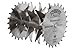Forrest DK08244 Dado King 8-inch 29/32-inch Width 5/8-inch Bore Dado Blade Set