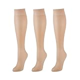 Women's Plus Size Queen Sheer Support Knee High Stockings 3-Pack