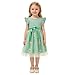 Toddler Girl Summer Dress Tulle Ruffle Sleeveless Baby Girl Fashion Casual Spring Dresses 1-5Y(Green,3 Years)