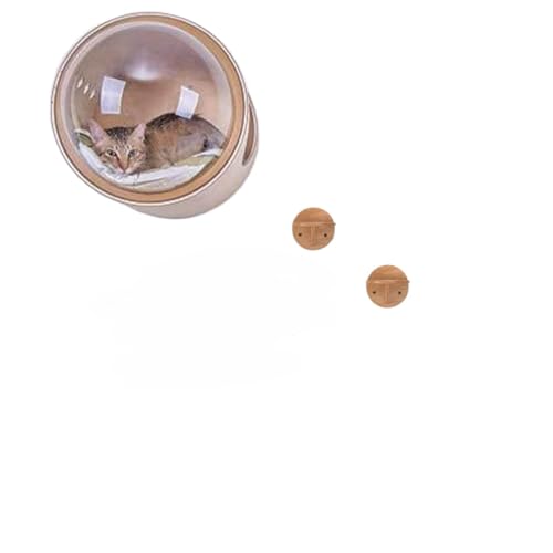 WyazzivFD^ ؐ LnEX Ǌ|/uΉ Lpxbh h[ FD IV lGʗp LbgEH[N Lbg^[ Mtg (L̑{эݑ2)