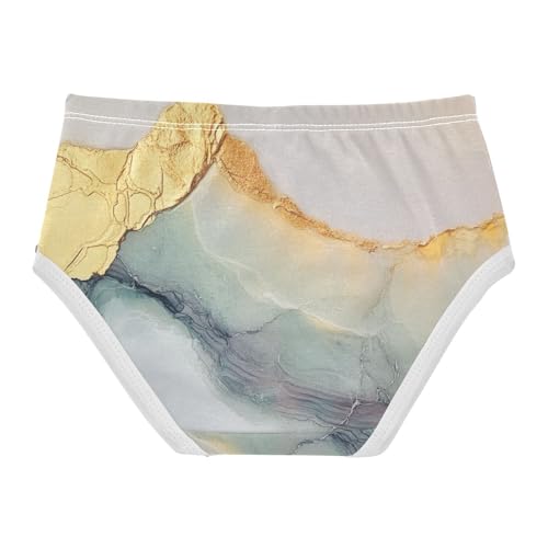 Cotton Panties Soft Panties Organic Cotton Toddler Underwear for Girls in Sizes 2T,3T, 4T, 5T, 6Y and 8Y2