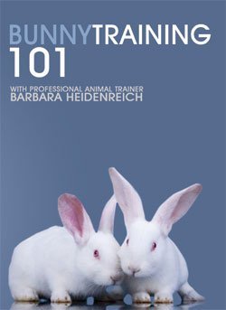 Amazon.com: Bunny Training 101 Rabbit Training DVD - Barbara ...