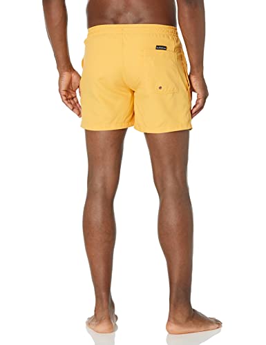 Quiksilver Men's Standard Everyday Volley 15 Boardshort Swim Trunk2
